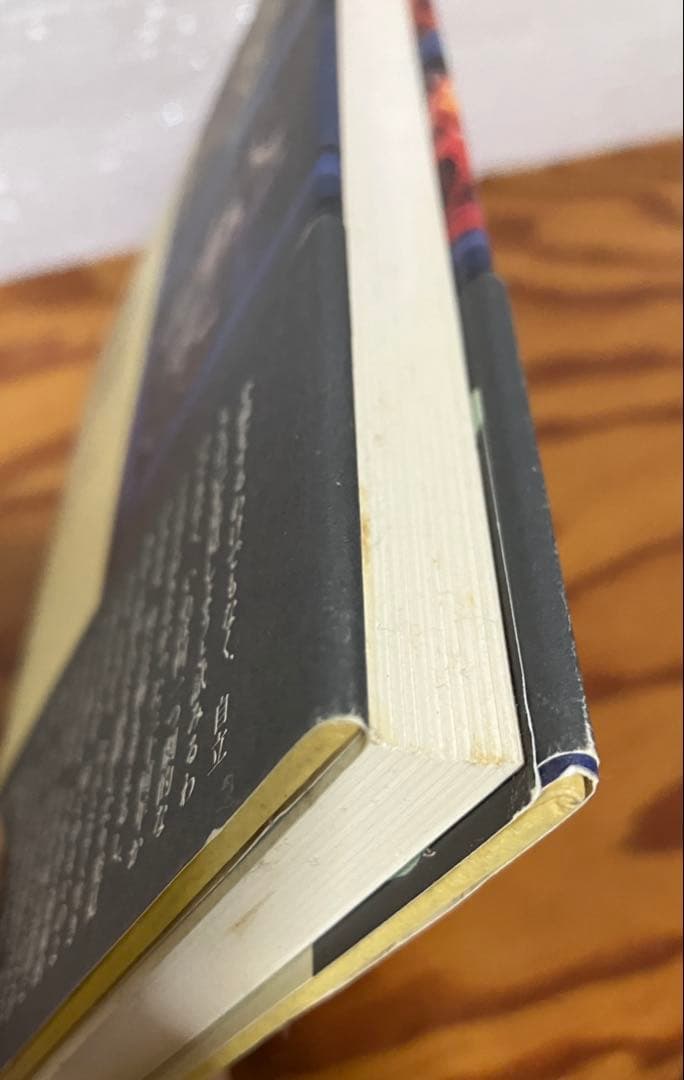 軽いめまい　金井美恵子　帯　初版第一刷　使用感無し本文美