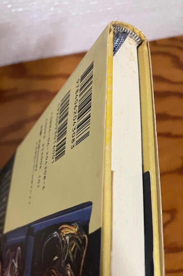 軽いめまい　金井美恵子　帯　初版第一刷　使用感無し本文美