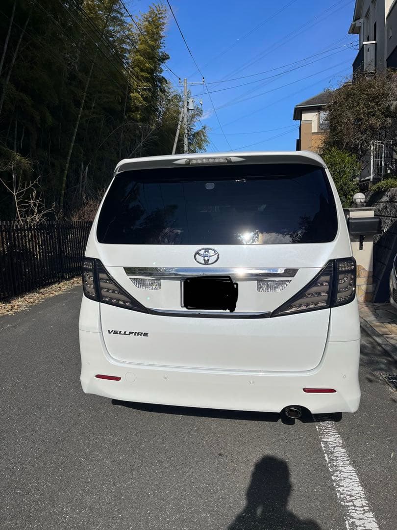 20ヴェルファイア用　クリスタルアイ　FIBER LED TAIL V2