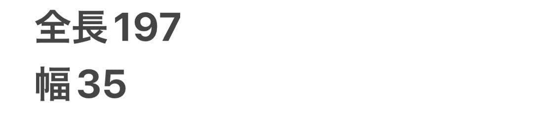 BALENCIAGA バレンシアガ　ロゴ マフラー ストール