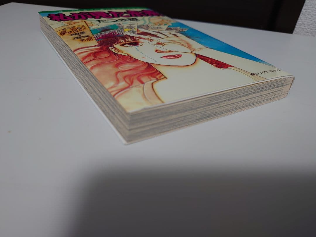 私が見た未来 たつき諒