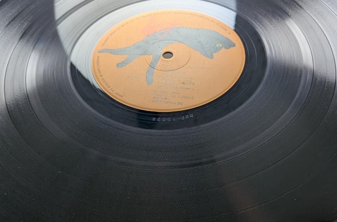 帯付オリジナルLP 高中正義 SEYCHELLES レコード