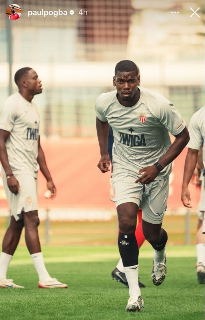 BAPE × adidas プレデターエリートFT A BATHING APE