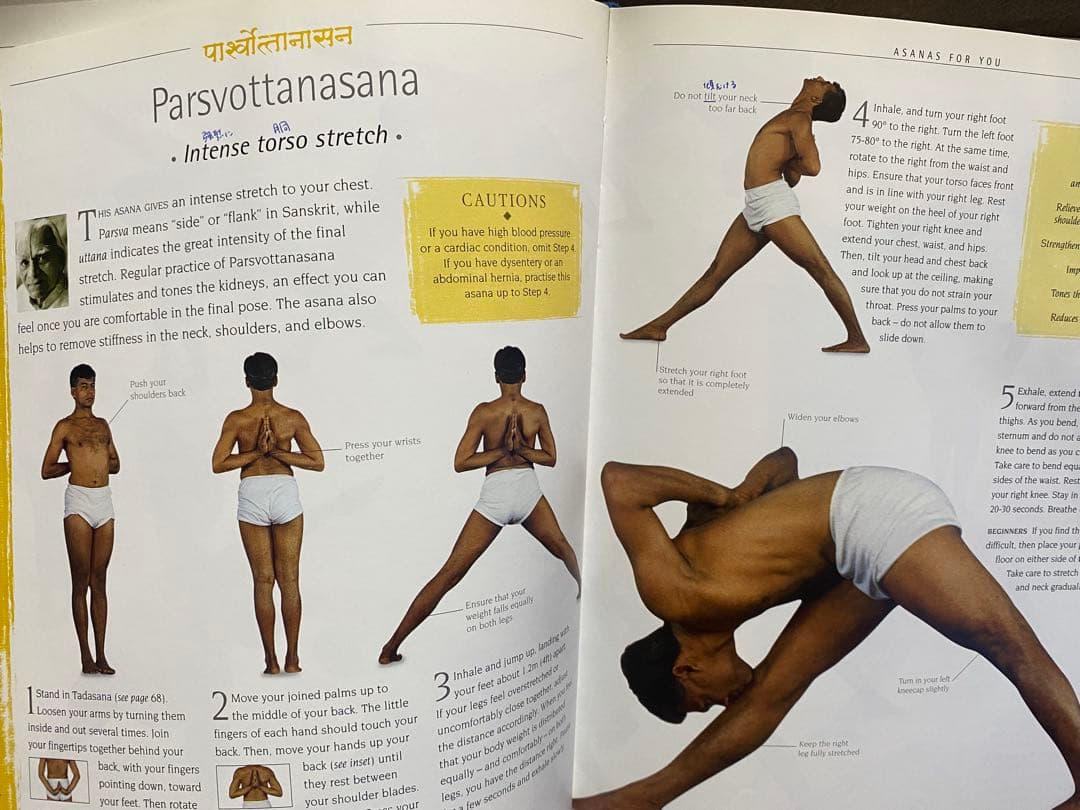 B.K.S. IYENGAR YOGA THE PATH TO …