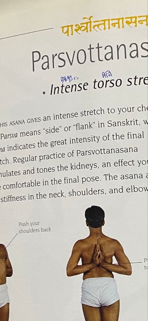 B.K.S. IYENGAR YOGA THE PATH TO …