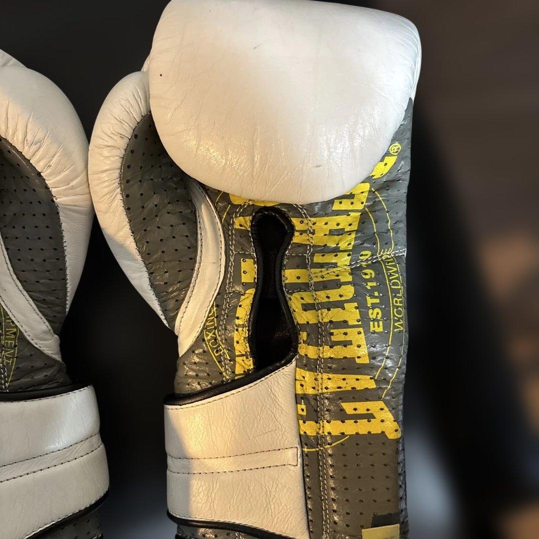 EVERLAST ボクシンググローブ 14oz 1910 スパーリング