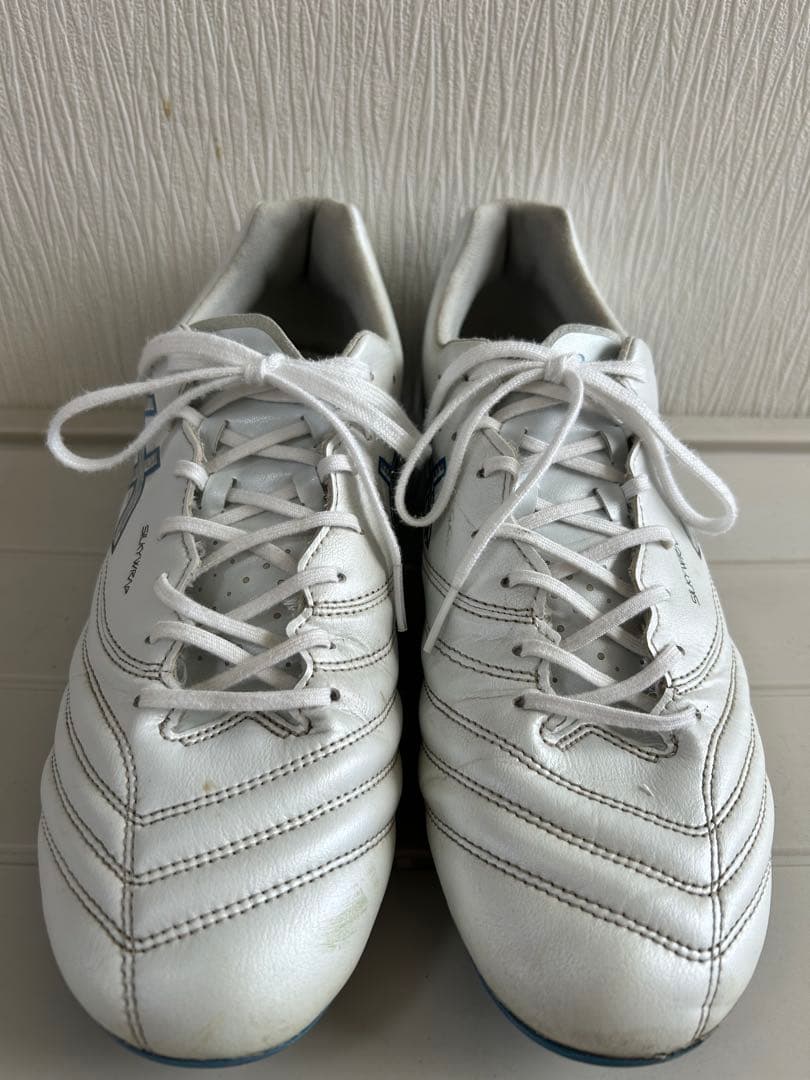 【ASICS DS LIGHT X-FLY PRO 3】 28.0cm