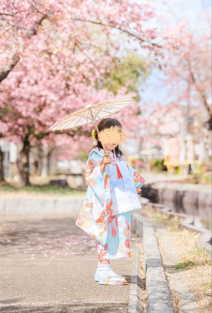 七五三 7歳 5歳 3歳　女の子 姉妹　着物フルセット