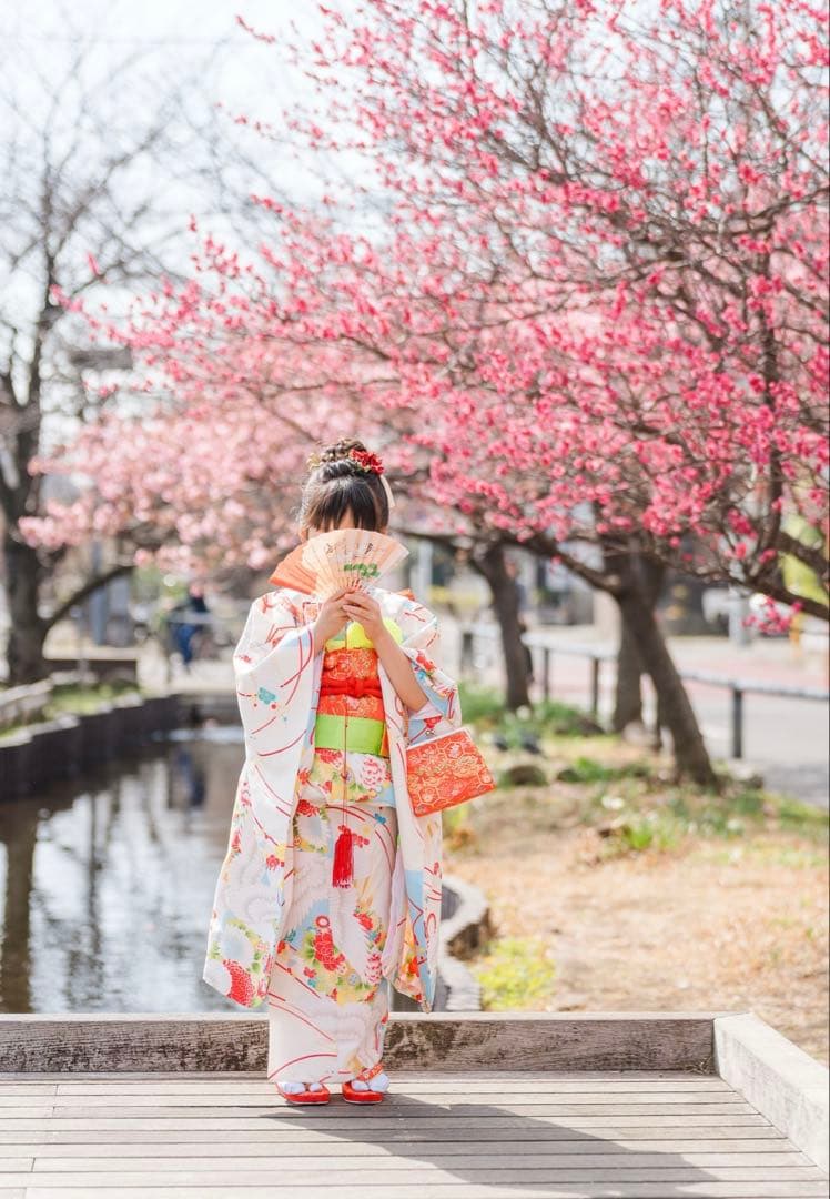 七五三 7歳 5歳 3歳　女の子 姉妹　着物フルセット