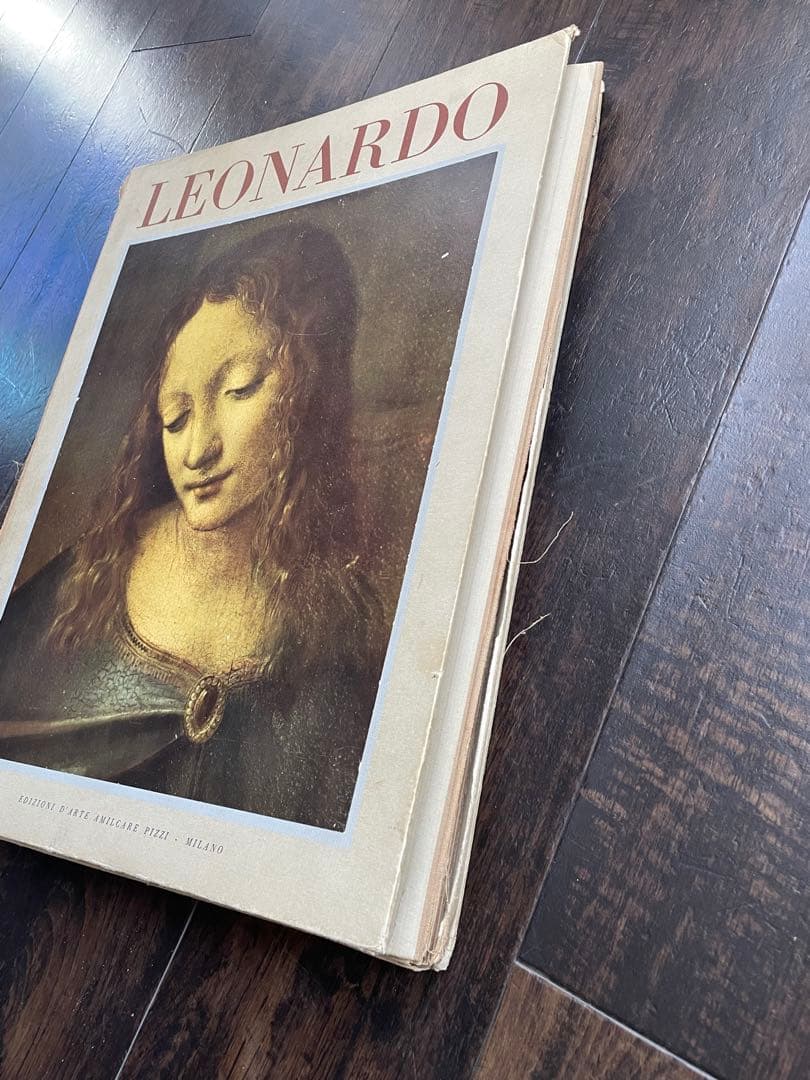 レオナルド・ダ・ヴィンチ 画集 ３０枚 作品集 絵画 資料 アート ダヴィンチ