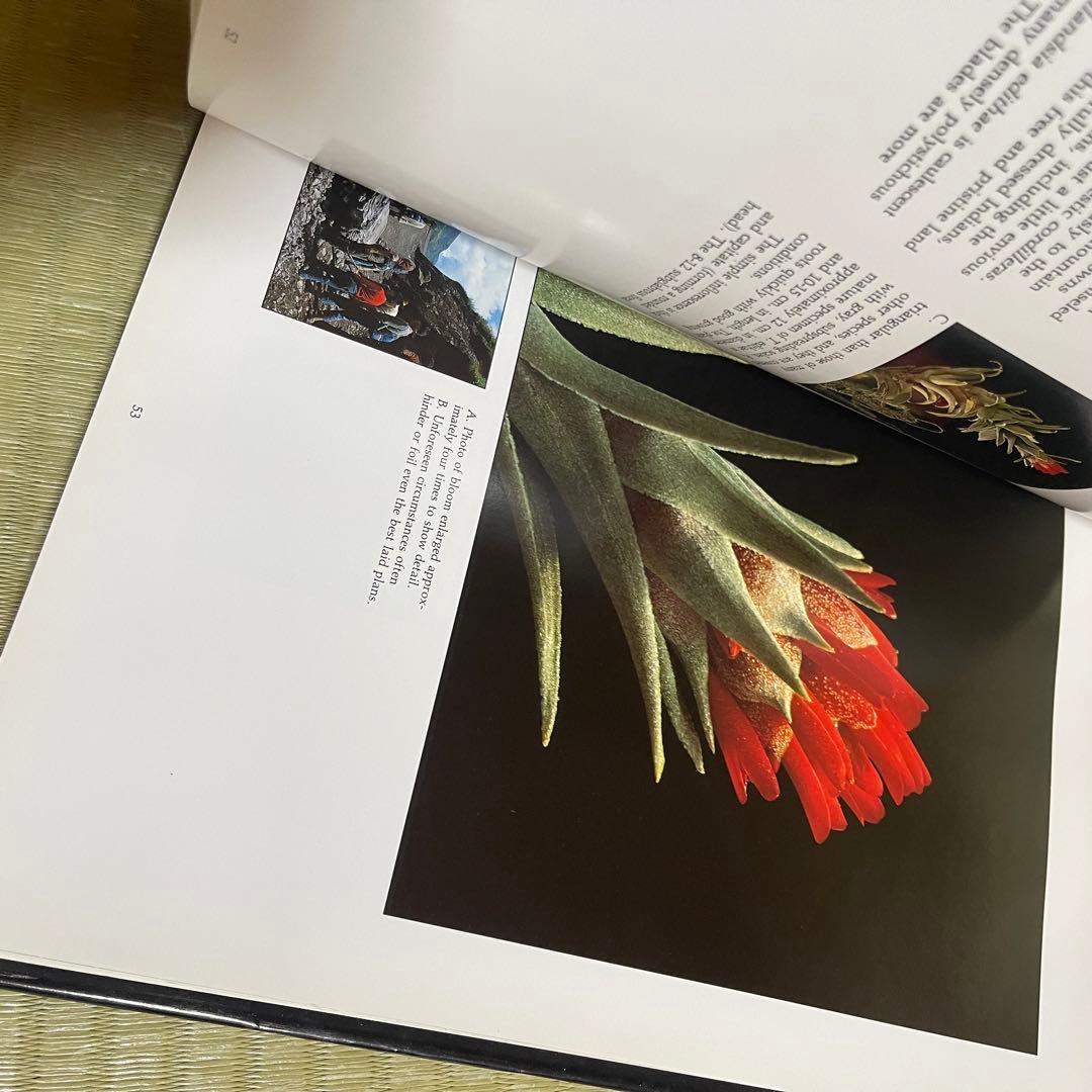 【絶版本】「Tillandsia」PAUL T.ISLEY Ⅲ チランジア