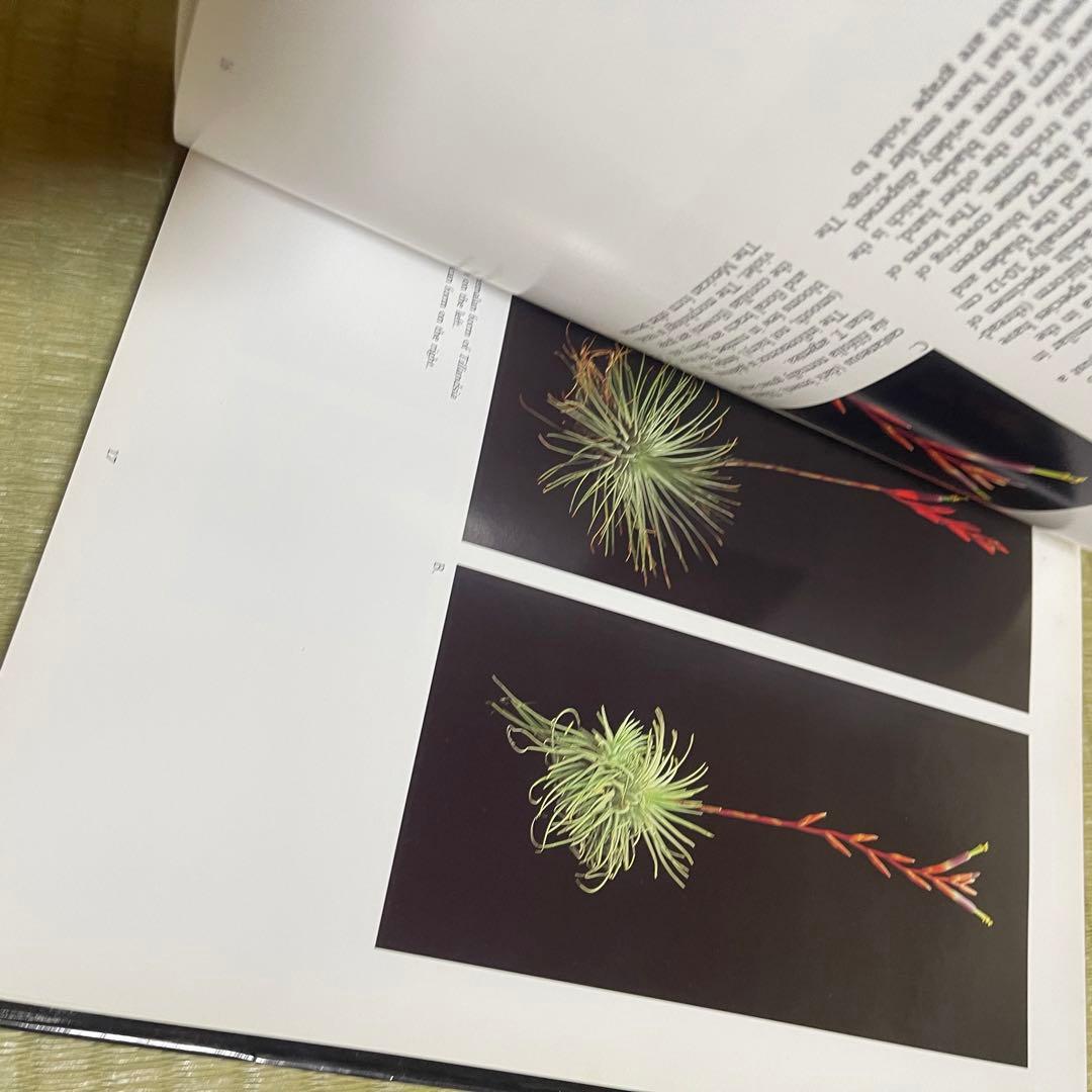 【絶版本】「Tillandsia」PAUL T.ISLEY Ⅲ チランジア