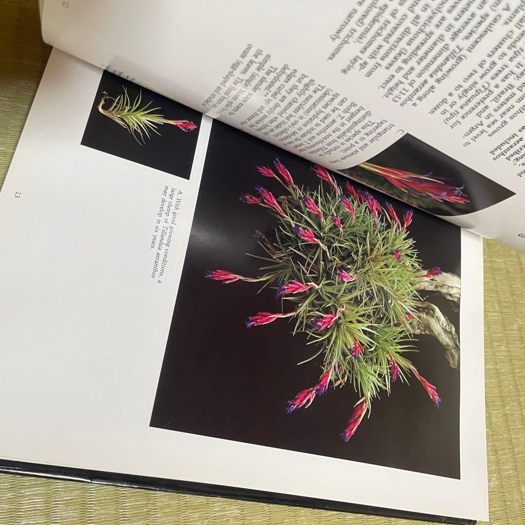 【絶版本】「Tillandsia」PAUL T.ISLEY Ⅲ チランジア