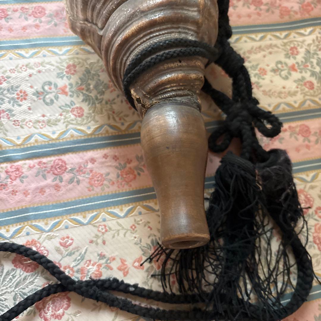 法螺貝 約37cm 大型 ホラ貝 ほら貝