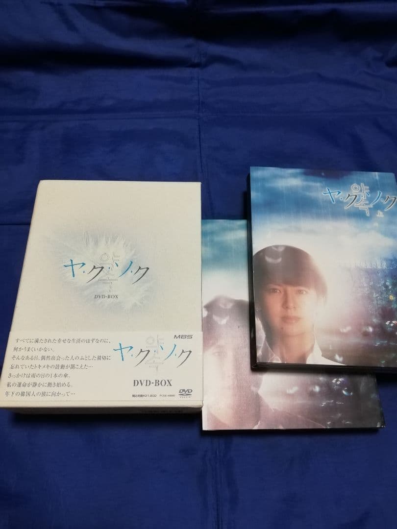 ヤクソク DVD-BOX〈10枚組〉南野陽子