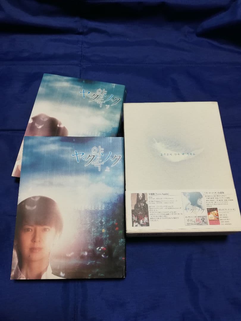 ヤクソク DVD-BOX〈10枚組〉南野陽子