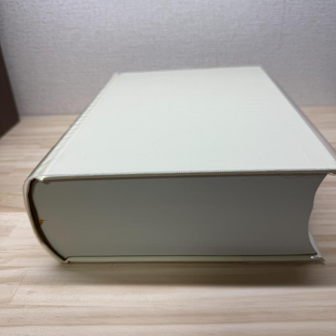 pico sawaさん専用