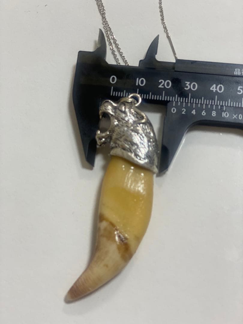 熊牙　熊歯　熊の牙　ネックレス　キーホルダー　新作　送料無料