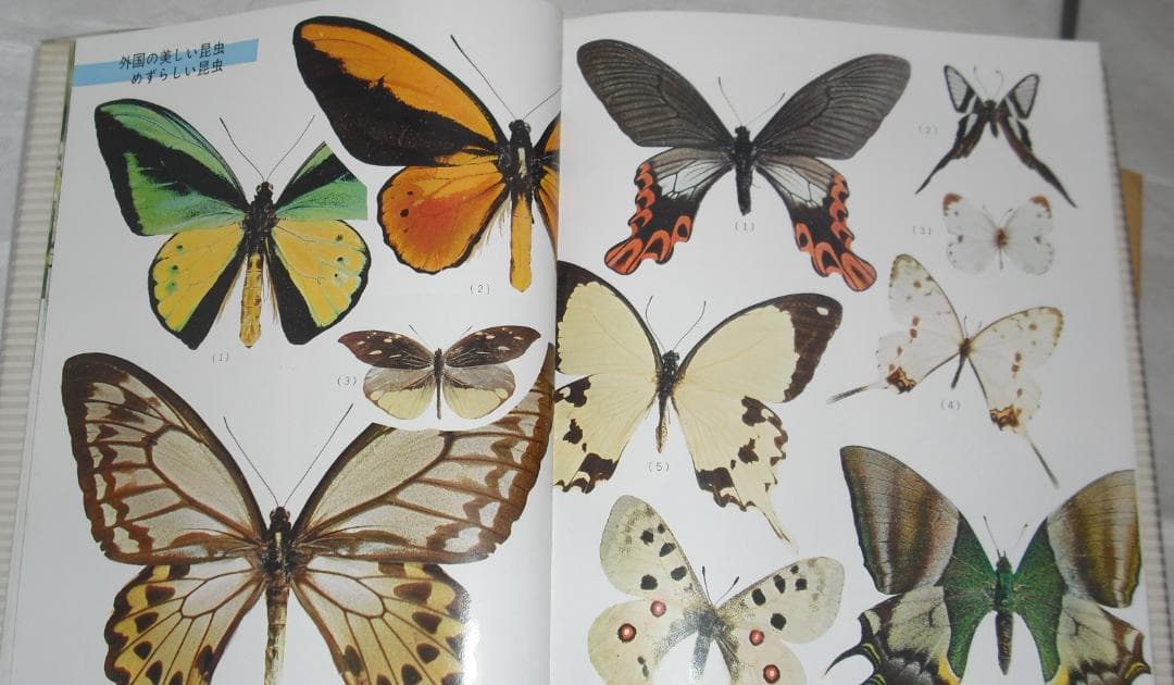 小学館発行「日本百科大事典」全20巻セット