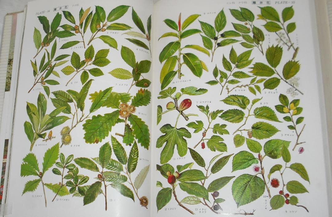 小学館発行「日本百科大事典」全20巻セット