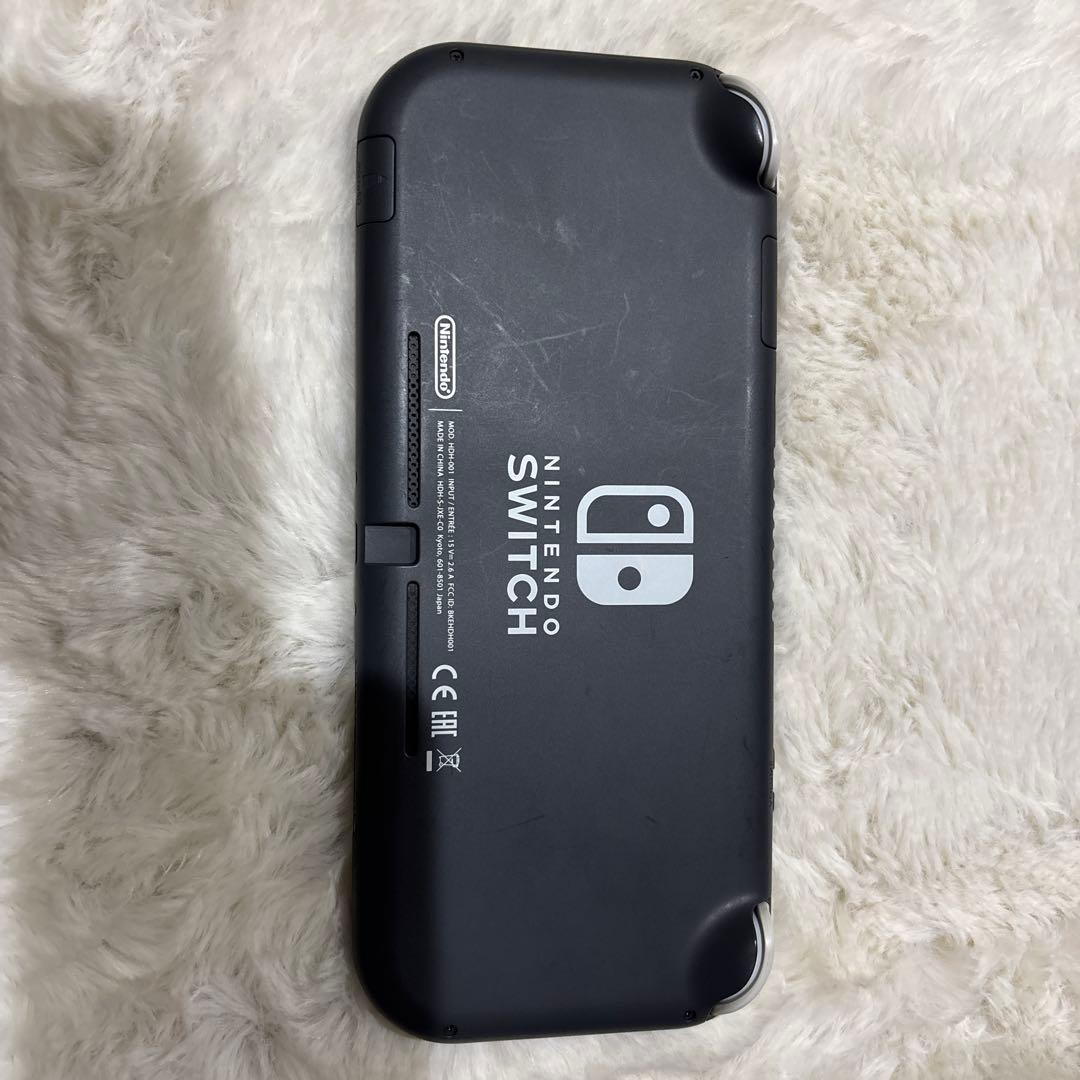 Nintendo Switch switch lite
