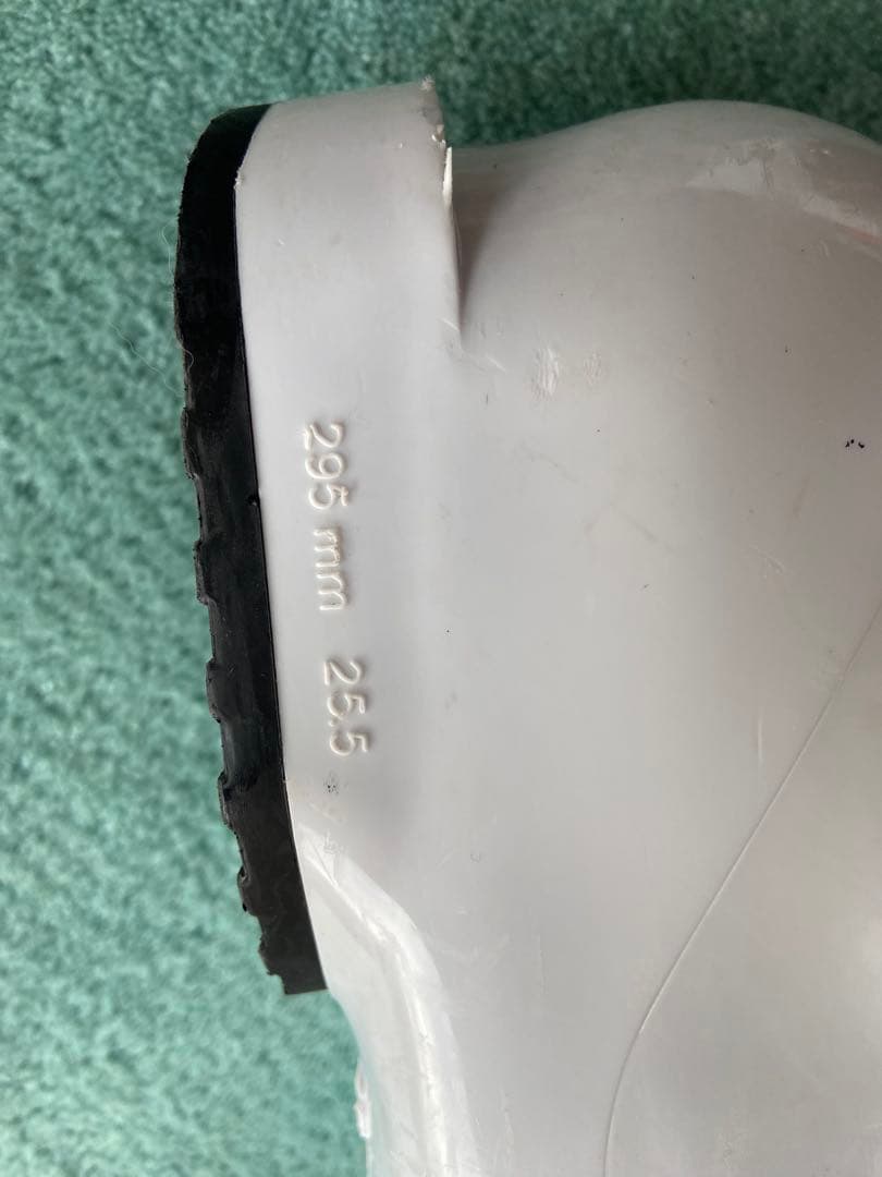 ロシニョール　ブーツ25.5 24.5〜25 スキー板150 2020年購入