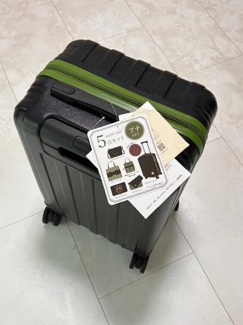 【新品未開封】 ディズニー アナ雪 キャリーケース付き５点セット