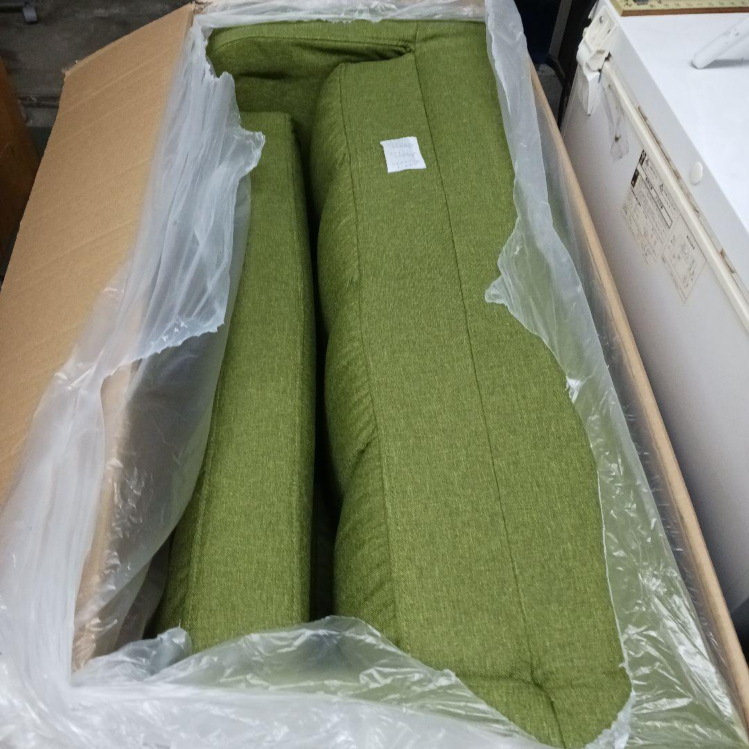 Vita ベッド＆コンパクトカウチソファベッド TAN-207-GN グリーン