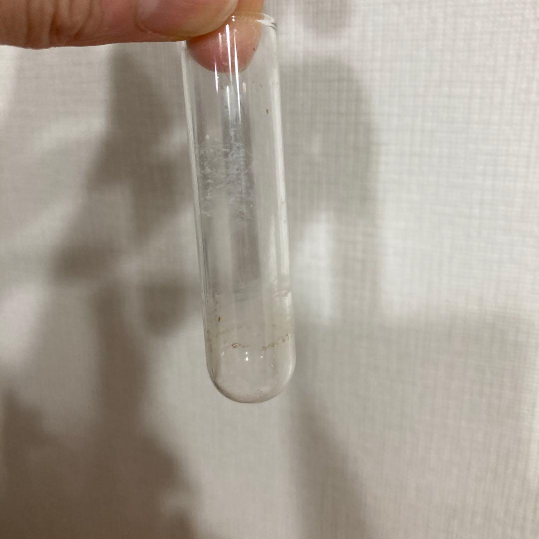 となりのトトロ　ジオラマ砂時計　クスノキとトトロたち＆一輪挿し森のじゃぐち