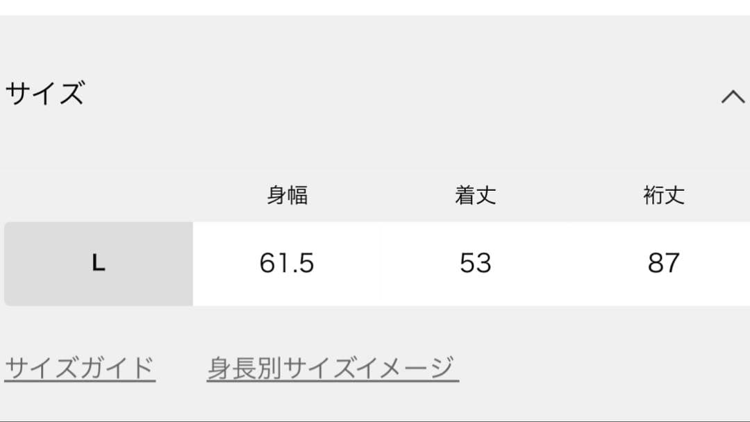 別注【CHAMPION/チャンピオン】for JS ハーフジップスウェット