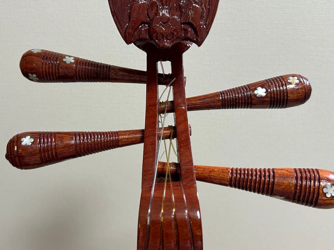 s*m様 ダンティバ　ベトナム楽器　琵琶