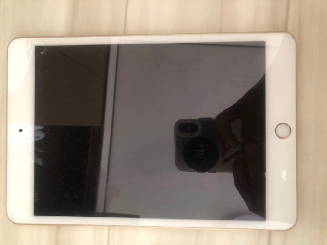 iPad本体 iPad mini A1538