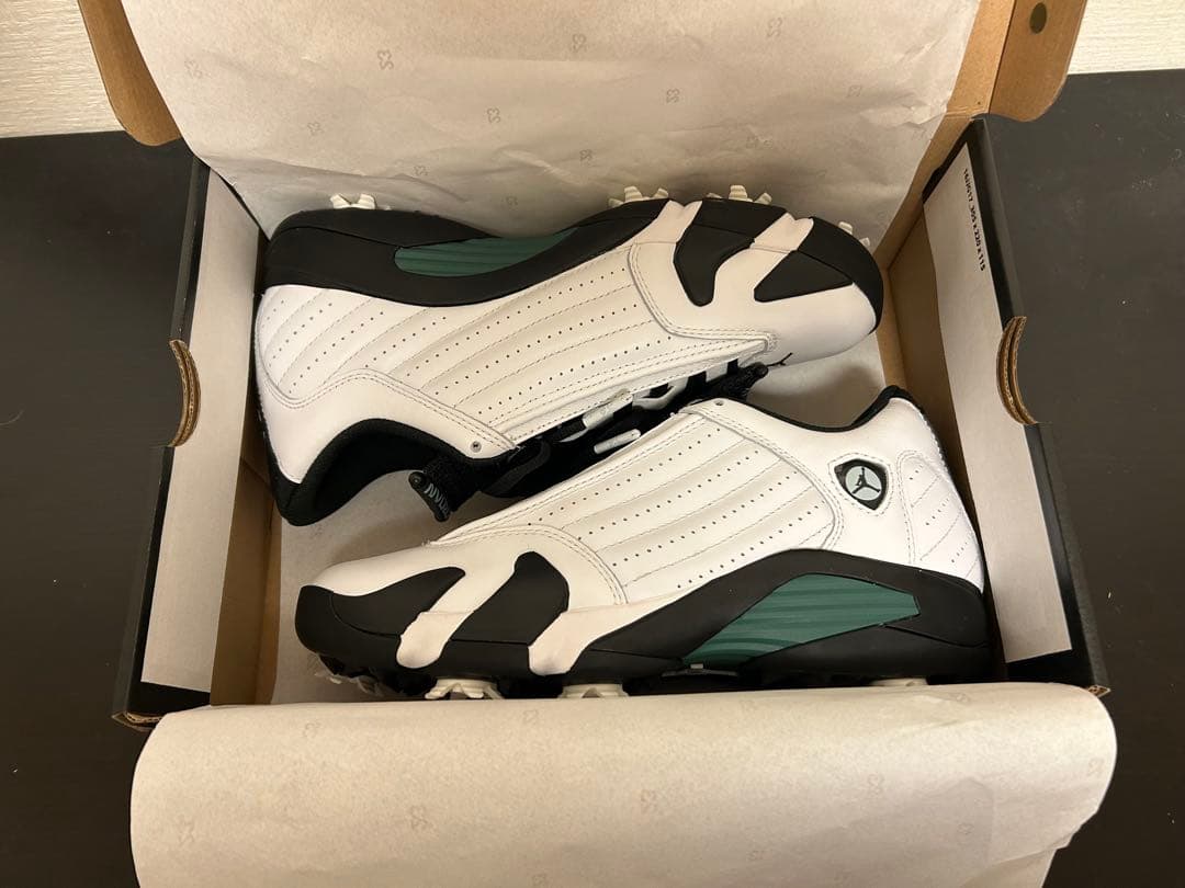 ジョーダン14G 25㎝