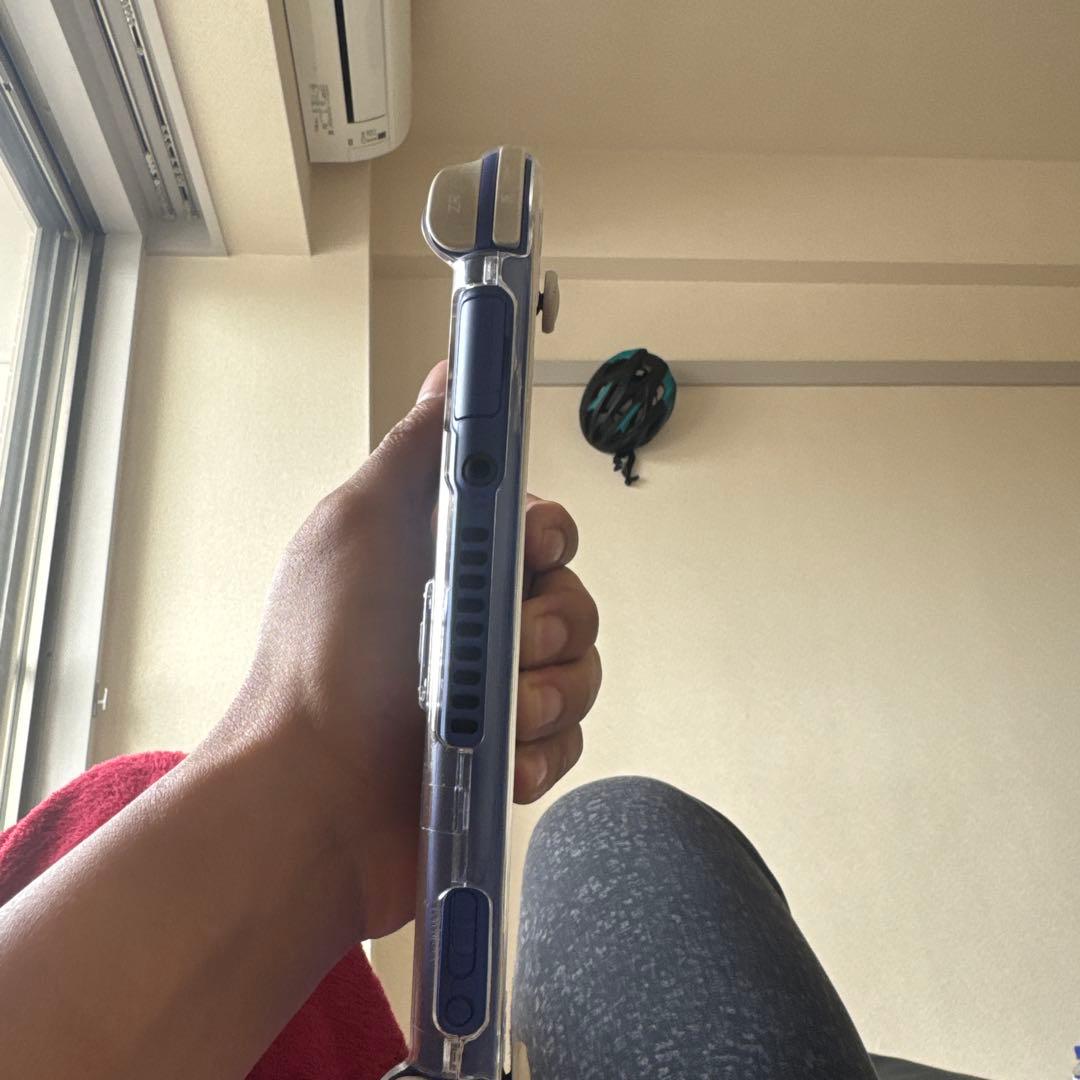 Nintendo Switch Lite 本体 ブルー