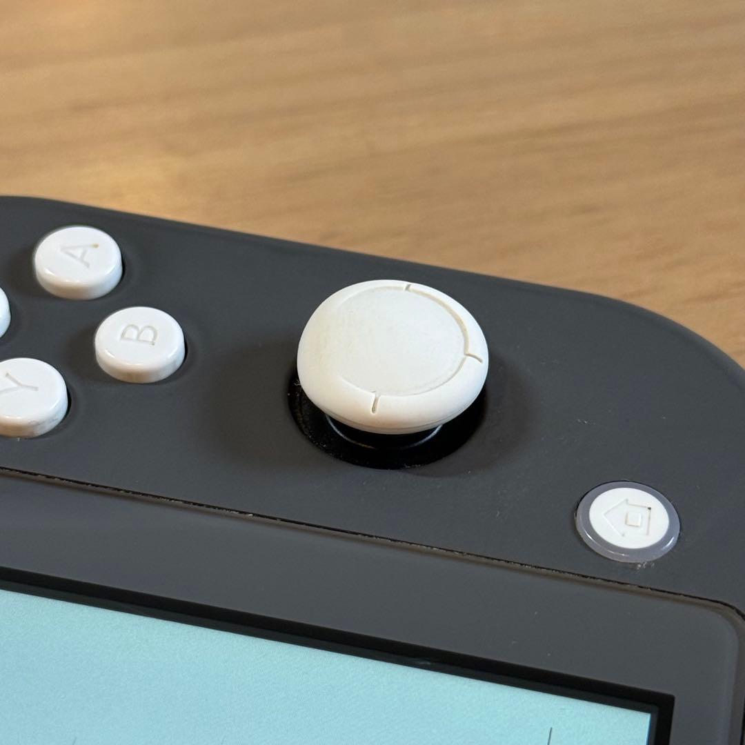 9-025 Switch Lite グレー