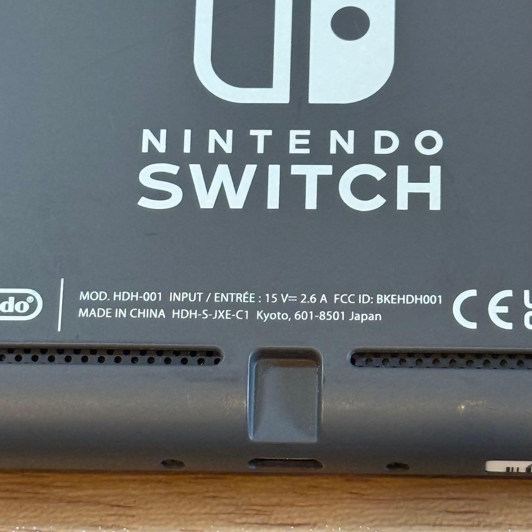 9-025 Switch Lite グレー