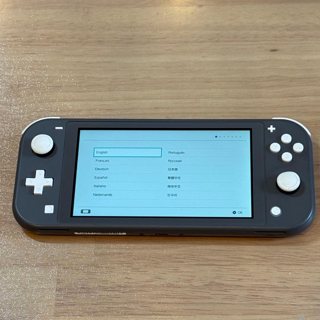 9-025 Switch Lite グレー