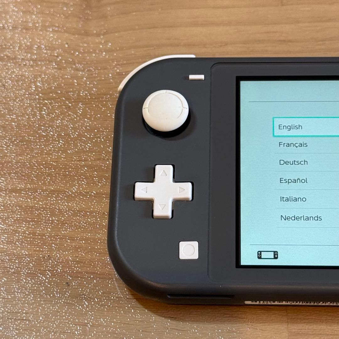 9-025 Switch Lite グレー