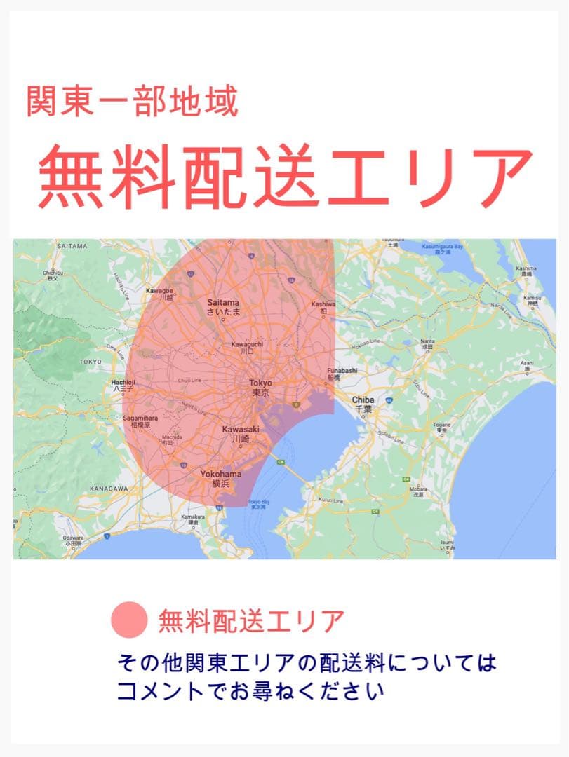 超人気！BIKKE ビッケ⭐️ブリヂストン子供乗せ電動自転車Y2457