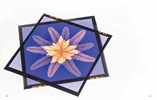 【極美品】スピッツのデザイン 予約特典版 MdN編集部