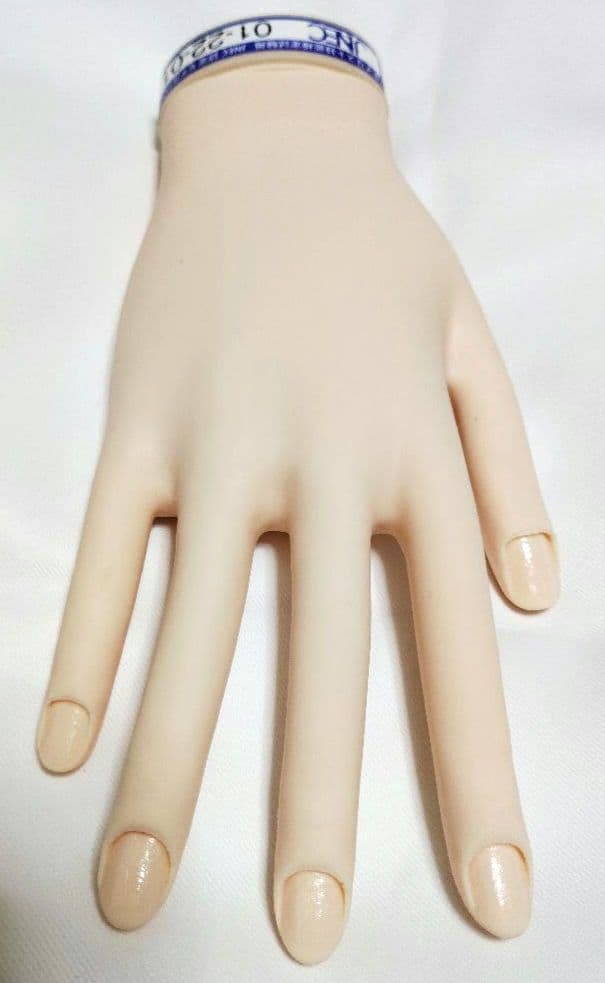 JNEC認定モデルハンド 骨折なし ST モデルハンド 両手 ネイリスト技能検定