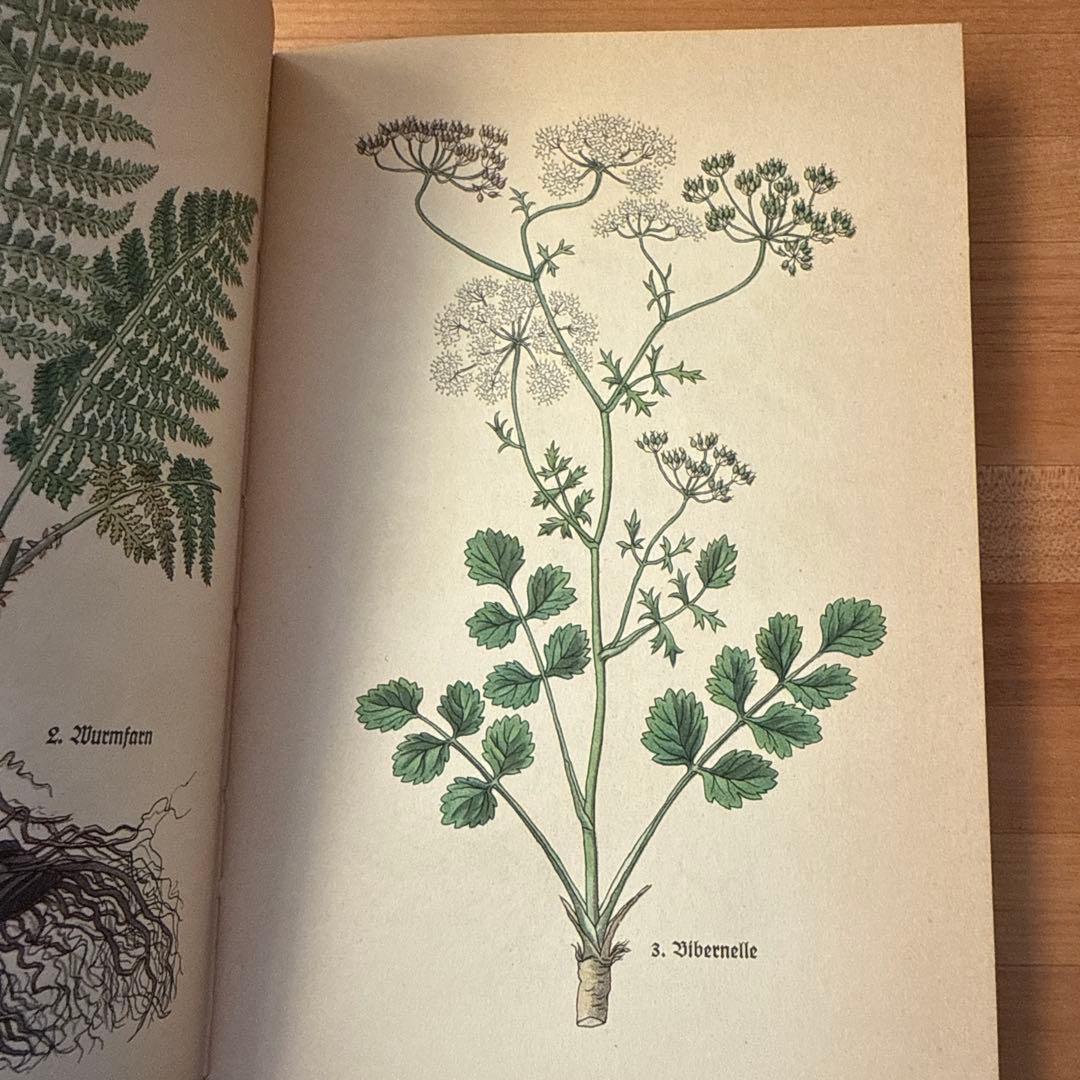 インゼル文庫　ドイツ　10冊