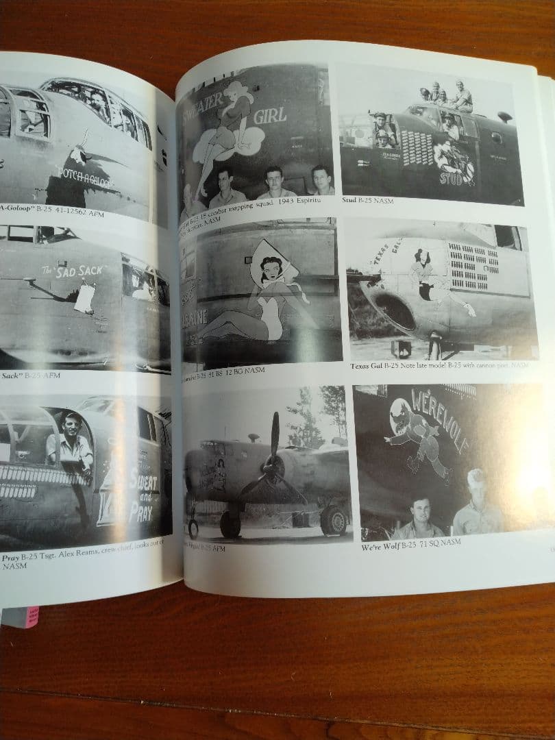 Nose Art Hard to Get!　他　ノーズアート