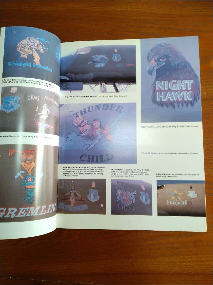 Nose Art Hard to Get!　他　ノーズアート