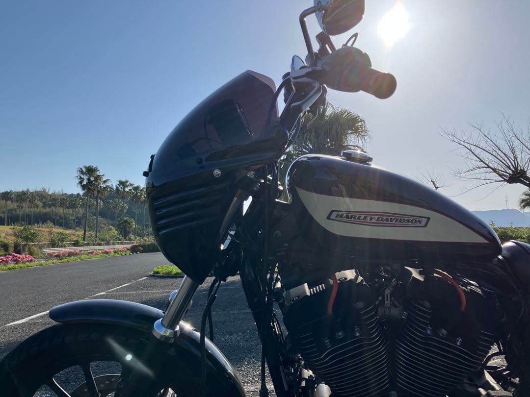 アレンネス  カウル　ダイナ　スポーツスター