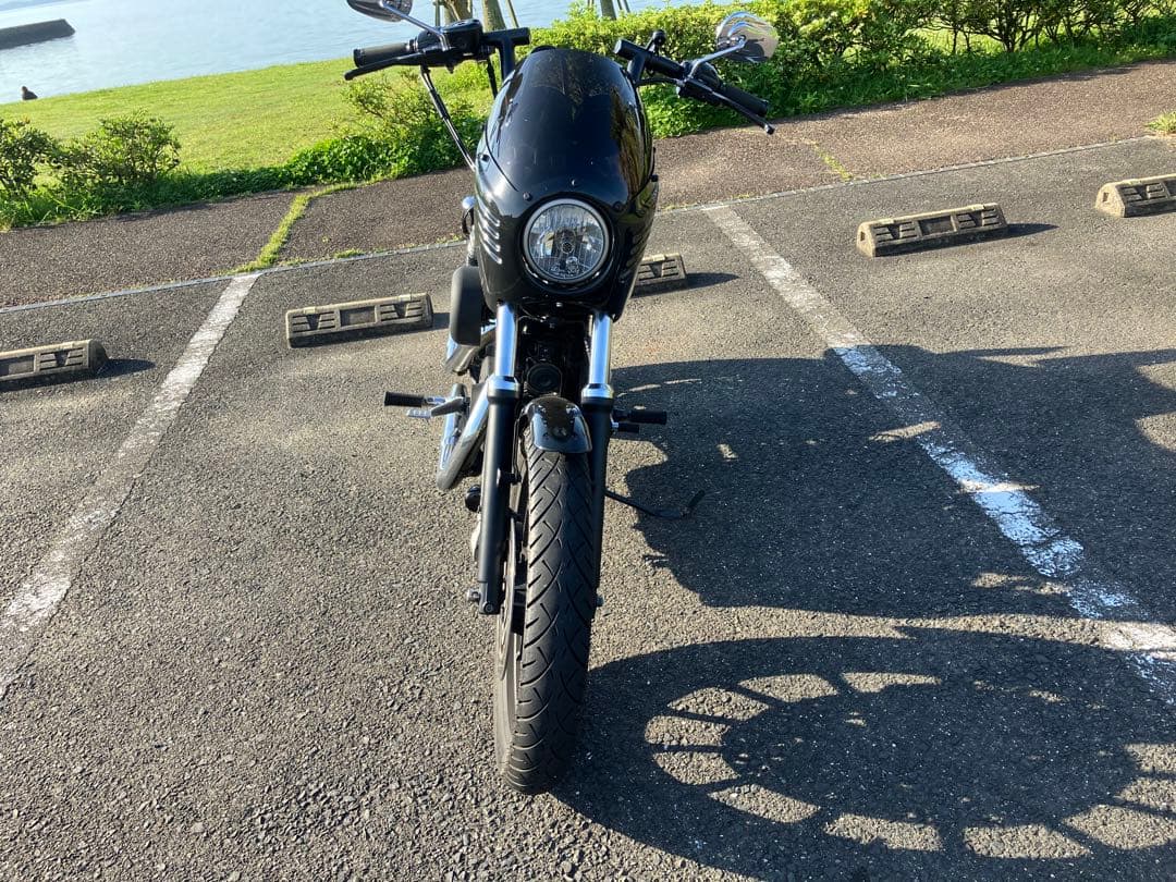 アレンネス  カウル　ダイナ　スポーツスター