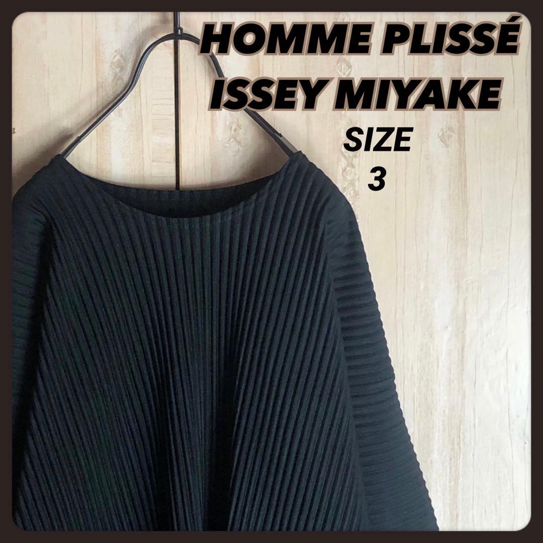 オムプリッセイッセイミヤケ　ブラック　Vネックロングスリーブカットソー3サイズ
