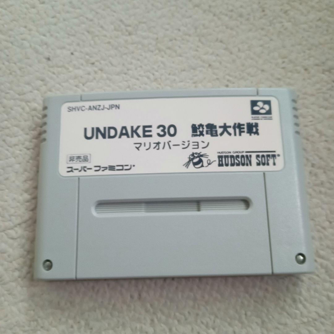 UNDAKE30 鮫亀大作戦 マリオバージョン