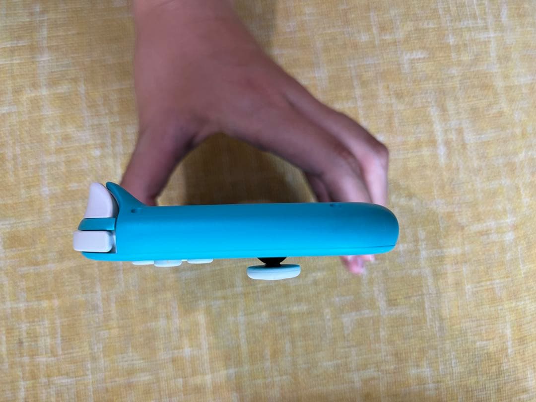 【値下げ】任天堂 Switch light 箱付属