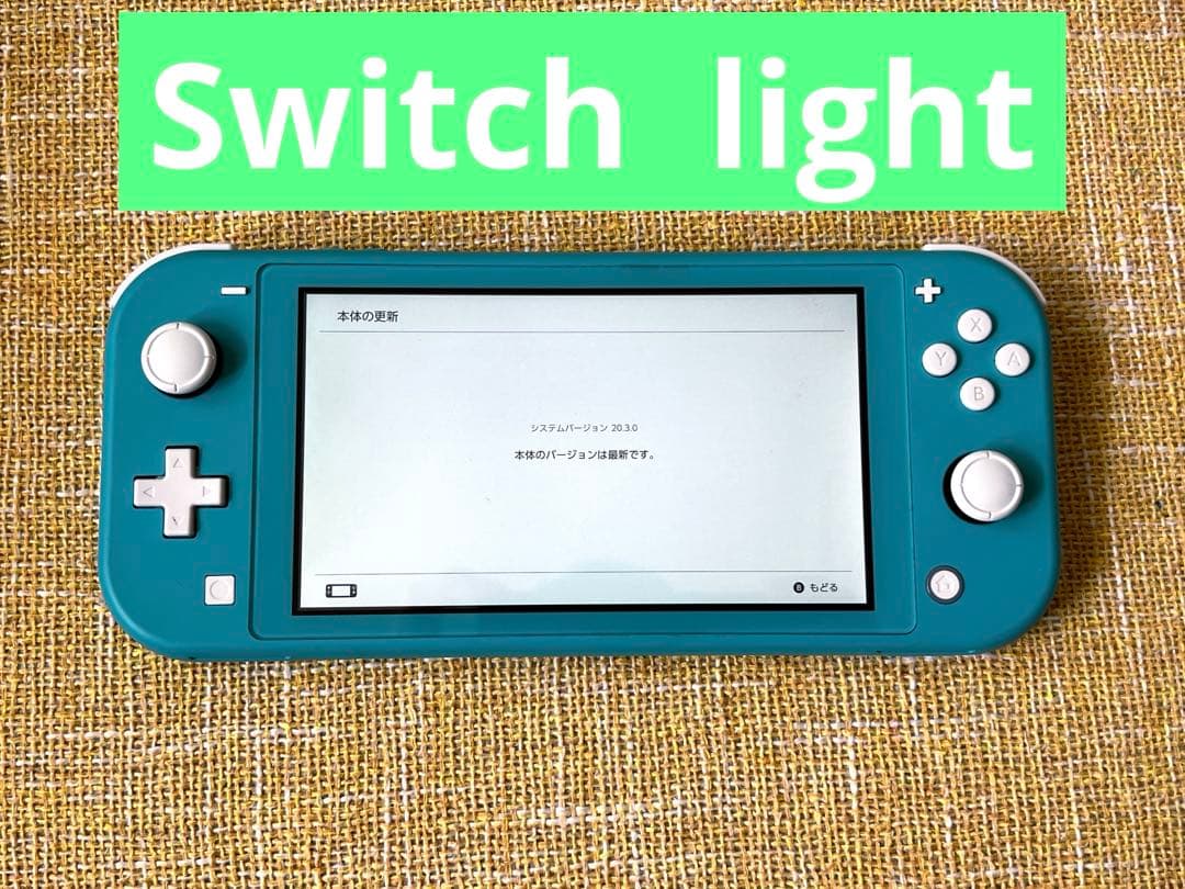 【値下げ】任天堂 Switch light 箱付属